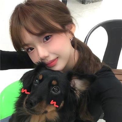 正逢佳节龙婿归